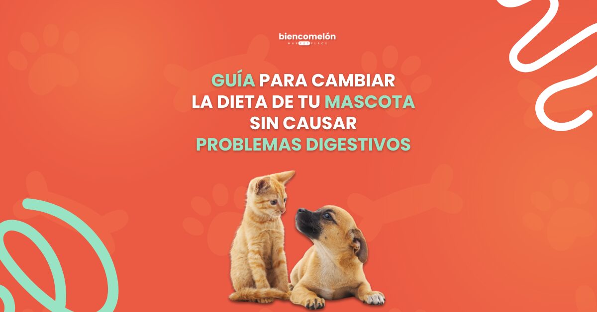 Guía para cambiar la dieta de tu mascota